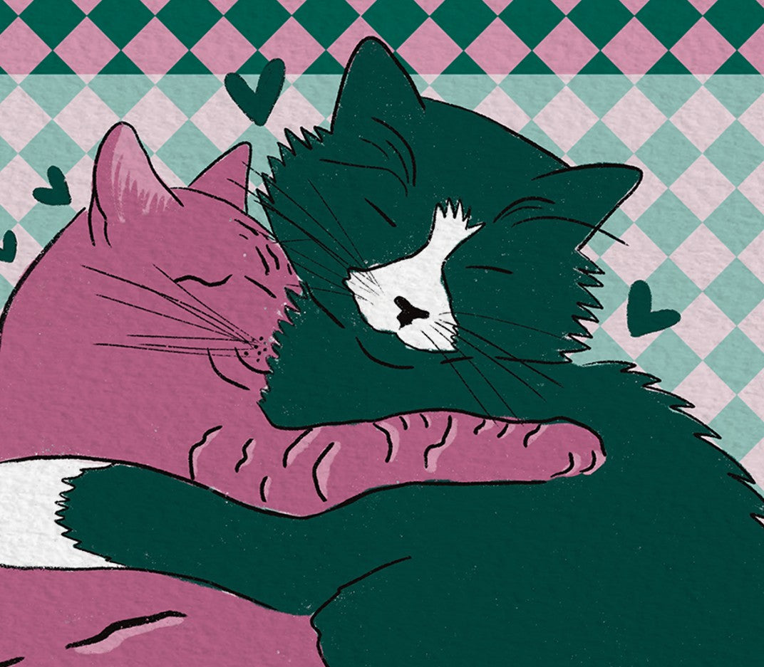 Cat Cuddles Print